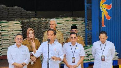Photo of Presiden Joko Widodo Luncurkan Penyaluran Cadangan Beras Pemerintah (CBP) untuk Bantuan Pangan
